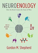 Neuroenology: How The Brain Creates The Taste Of Wine
