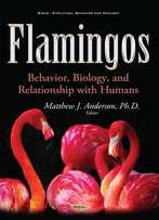 Flamingos: Behavior, Biology, And Relationship With Humans