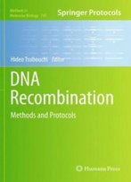 Dna Recombination: Methods And Protocols (Methods In Molecular Biology)