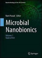 Microbial Nanobionics: Volume 1, State Of Art