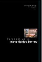 Perspective In Image-Guided Surgery