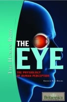 The Eye: The Physiology Of Human Perception