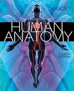 Human Anatomy, 4th Edition