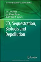 Co2 Sequestration, Biofuels And Depollution
