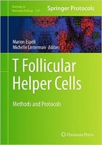 T Follicular Helper Cells: Methods And Protocols