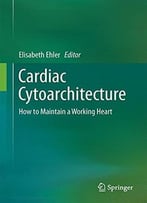 Cardiac Cytoarchitecture: How To Maintain A Working Heart