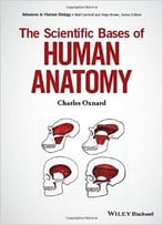 The Scientific Bases Of Human Anatomy