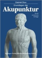 Grundlagen Der Akupunktur. 3 Auflage