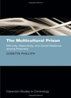The Multicultural Prison: Ethnicity, Masculinity, And Social Relations Among Prisoners