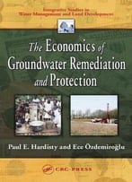 The Economics Of Groundwater Remediation And Protection