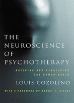 The Neuroscience Of Psychotherapy: Healing The Social Brain