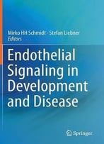 Endothelial Signaling In Development And Disease