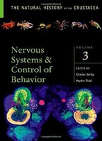 Nervous Systems And Control Of Behavior