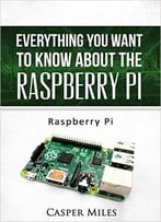 Raspberry Pi: Everything You Want To Know About The Raspberry Pi