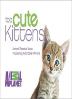 Too Cute Kittens: Animal Planet’S Most Impossibly Adorable Kittens