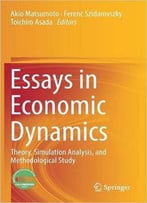 Essays In Economic Dynamics: Theory, Simulation Analysis, And Methodological Study
