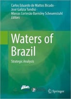 Waters Of Brazil: Strategic Analysis