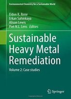Sustainable Heavy Metal Remediation: Volume 2: Case Studies (Environmental Chemistry For A Sustainable World)