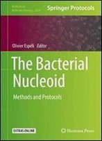 The Bacterial Nucleoid: Methods And Protocols (Methods In Molecular Biology)
