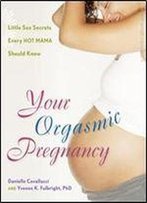 Your Orgasmic Pregnancy: Little Sex Secrets Every Hot Mama Should Know By Cavallucci, Danielle, Fulbright, M.S. Yvonne K [Hunter House, 2008] (Paperback) [Paperback]
