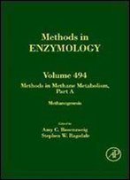 Methods In Methane Metabolism, Part A, Volume 494: Methanogenesis (Methods In Enzymology)