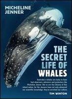 The Secret Life Of Whales: A Marine Biologist Reveals All