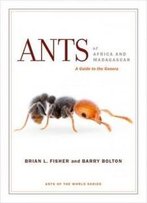 Ants Of Africa And Madagascar: A Guide To The Genera