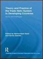 Theory And Practice Of The Triple Helix Model In Developing Countries: Issues And Challenges (Routledge Studies In Innovation, Organizations And Technology)