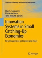 Innovation Systems In Small Catching-Up Economies: New Perspectives On Practice And Policy