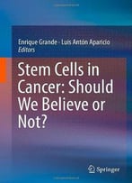 Stem Cells In Cancer: Should We Believe Or Not?