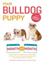Your Bulldog Puppy Month By Month