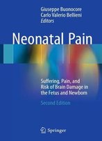 Neonatal Pain: Suffering, Pain, And Risk Of Brain Damage In The Fetus And Newborn, Second Edition