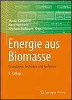 Energie Aus Biomasse: Grundlagen, Techniken Und Verfahren (German Edition)