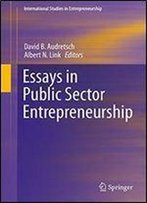 Essays In Public Sector Entrepreneurship (International Studies In Entrepreneurship)