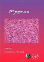 Myogenesis, Volume 96 (Current Topics In Developmental Biology)