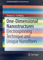 One-Dimensional Nanostructures: Electrospinning Technique And Unique Nanofibers (Springerbriefs In Materials)