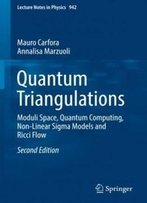 Quantum Triangulations: Moduli Space, Quantum Computing, Non-Linear Sigma Models And Ricci Flow (Lecture Notes In Physics)