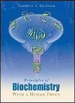 Principles Of Biochemistry With A Human Focus