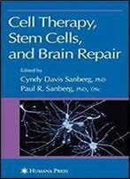 Cell Therapy, Stem Cells And Brain Repair (Contemporary Neuroscience)