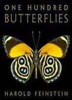 One Hundred Butterflies