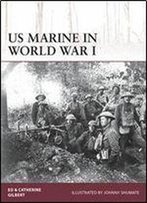 Us Marine In World War I (Osprey Warrior 178)