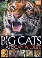 World Of Animals Book Of Big Cats And African Wildlife 2nd Edition