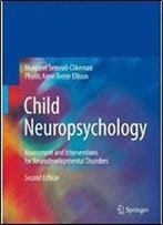 Child Neuropsychology: Assessment And Interventions For Neurodevelopmental Disorders (2nd Edition)