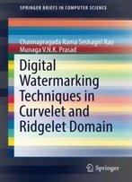 Digital Watermarking Techniques In Curvelet And Ridgelet Domain (Springerbriefs In Computer Science)