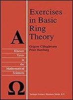 Exercises In Basic Ring Theory (Texts In The Mathematical Sciences)