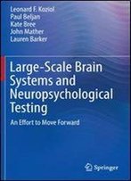 Large-Scale Brain Systems And Neuropsychological Testing: An Effort To Move Forward (The Vertically Organized Brain In Theory And Practice)