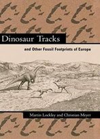 Dinosaur Tracks And Other Fossil Footprints Of Europe
