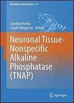Neuronal Tissue-Nonspecific Alkaline Phosphatase (Tnap)