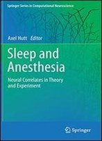 Sleep And Anesthesia: Neural Correlates In Theory And Experiment