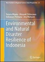 Environmental And Natural Disaster Resilience Of Indonesia (New Frontiers In Regional Science: Asian Perspectives Book 23)